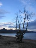 tasmanie_3