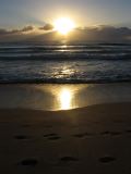 Palm-Beach