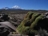 Parinacota_2
