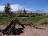 San-pedro-atacama