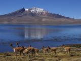 Parc_lauca_3